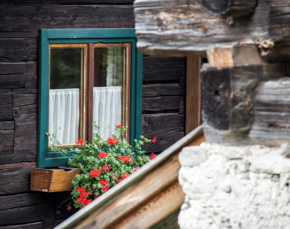 Fenster vom Schneiderhäusl und roten Blumen 