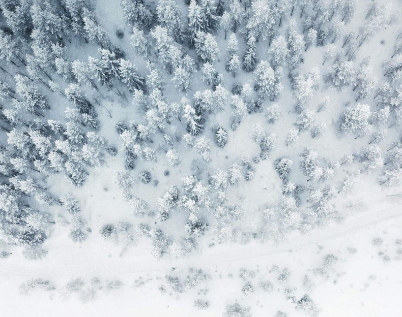 Schneebedeckter Wald © Gabriel Alenius auf Unsplash