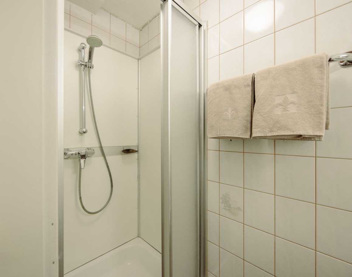 Duschkabine mit Handbrause und zwei beigen Handtüchern an der Wand